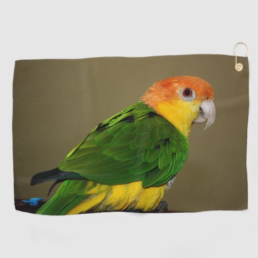 Beauful White Bellied Caique Parrot Posing Golfhanddoek (Horizontaal)