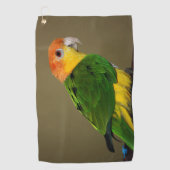 Beauful White Bellied Caique Parrot Posing Golfhanddoek (Voorkant)