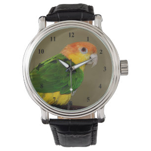 Beauful White Bellied Caique Parrot Posing Horloge
