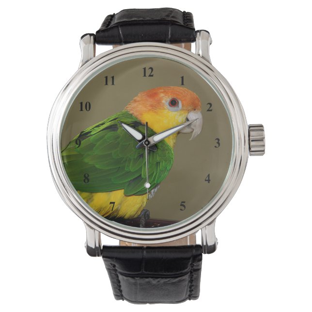 Beauful White Bellied Caique Parrot Posing Horloge (Voorkant)