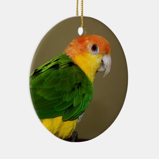 Beauful White Bellied Caique Parrot Posing Keramisch Ornament (Rechts)