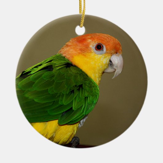 Beauful White Bellied Caique Parrot Posing Keramisch Ornament (Voorkant)