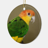 Beauful White Bellied Caique Parrot Posing Keramisch Ornament (Links)