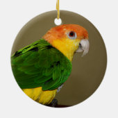 Beauful White Bellied Caique Parrot Posing Keramisch Ornament (Achterkant)