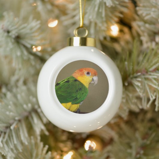 Beauful White Bellied Caique Parrot Posing Keramische Bal Ornament (Boom)