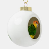 Beauful White Bellied Caique Parrot Posing Keramische Bal Ornament (Links)