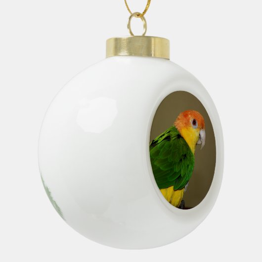 Beauful White Bellied Caique Parrot Posing Keramische Bal Ornament (Links)