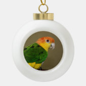 Beauful White Bellied Caique Parrot Posing Keramische Bal Ornament (Voorkant)