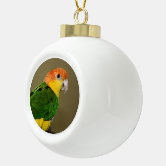 Beauful White Bellied Caique Parrot Posing Keramische Bal Ornament (Rechts)