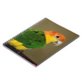 Beauful White Bellied Caique Parrot Posing Notitieboek (Linkerzijde)
