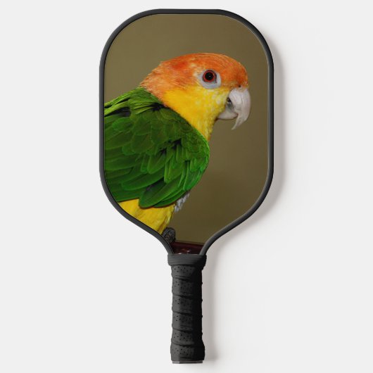 Beauful White Bellied Caique Parrot Posing Pickleball Paddle (Voorkant)