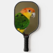 Beauful White Bellied Caique Parrot Posing Pickleball Paddle (Achterkant)