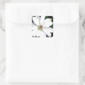 Beauful White Clematis Flowers Vierkante Sticker (Tas)