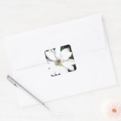 Beauful White Clematis Flowers Vierkante Sticker (Envelop)