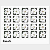 Beauful White Clematis Flowers Vierkante Sticker (Vel)