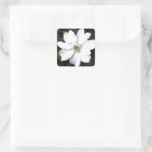 Beauful White Clematis Flowers Vierkante Sticker (Tas)