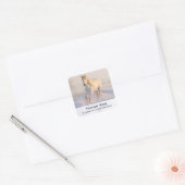Beauful White Horse Galloping in Winter Birthday Vierkante Sticker (Envelop)