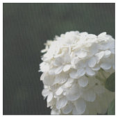 Beauful White Limoen Hydrangea Floral Stof (Close Up)