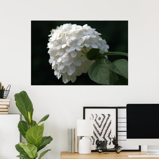 Beauful White Limoen Hydrangea Flower Poster (Thuiskantoor)