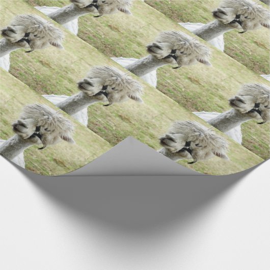 Beauful White Llama Cadeaupapier (Hoek)