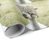 Beauful White Llama Cadeaupapier (Rol Hoek)