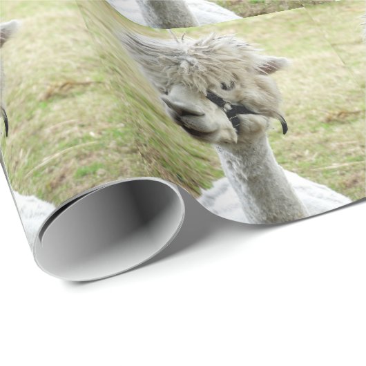 Beauful White Llama Cadeaupapier (Rol Hoek)