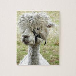 Beauful White Llama Legpuzzel