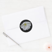 Beauful White Petunia Sticker (Envelop)