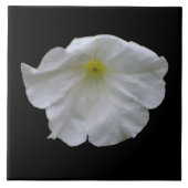 Beauful White Petunia Tile Tegeltje (Voorkant)