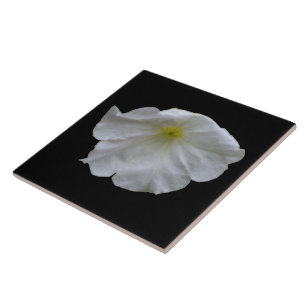 Beauful White Petunia Tile Tegeltje