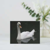 Beauful White Swan Briefkaart (Staand voorkant)