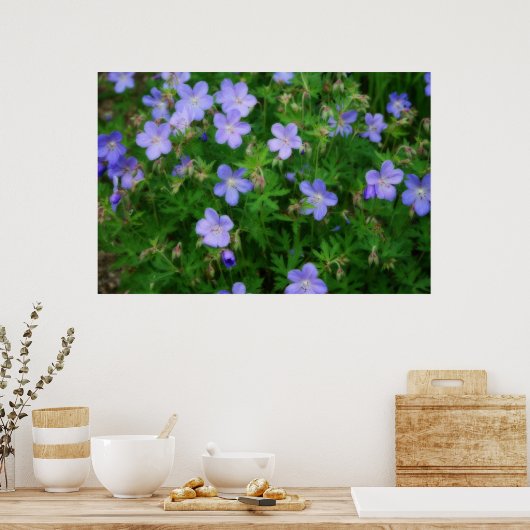 Beauful Wild Geraniums Poster (Keuken)
