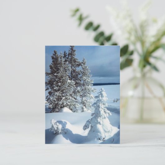 Beauful Winter Scene Briefkaart (Staand voorkant)