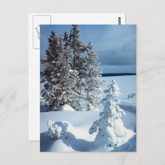 Beauful Winter Scene Briefkaart (Voorkant / Achterkant)