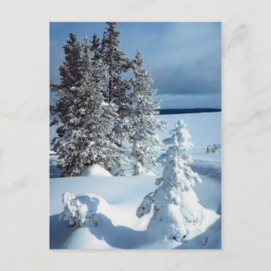Beauful Winter Scene Briefkaart