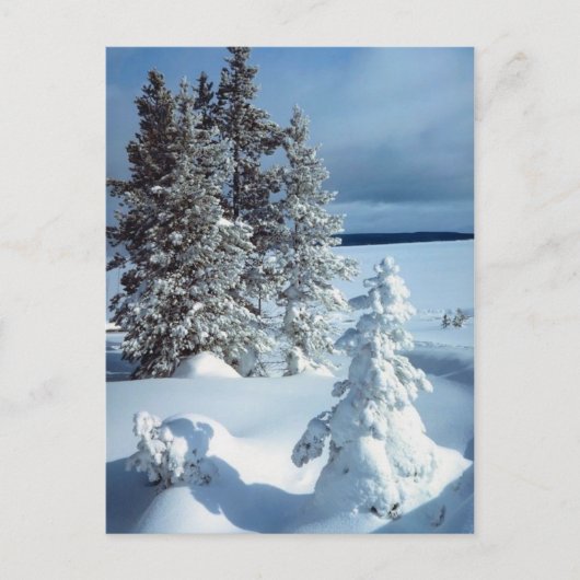 Beauful Winter Scene Briefkaart (Voorkant)