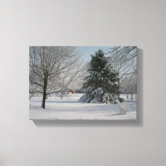 Beauful Winter Scene Canvas Afdruk
