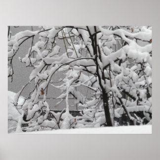 Beauful Winter Scene Poster
