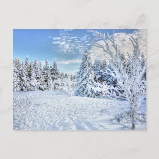 Beauful Winter Snow Forest Scene Briefkaart (Voorkant)