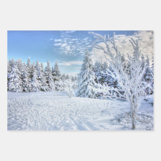 Beauful Winter Snow Forest Scene Inpakpapier Vel (Voorkant 2)