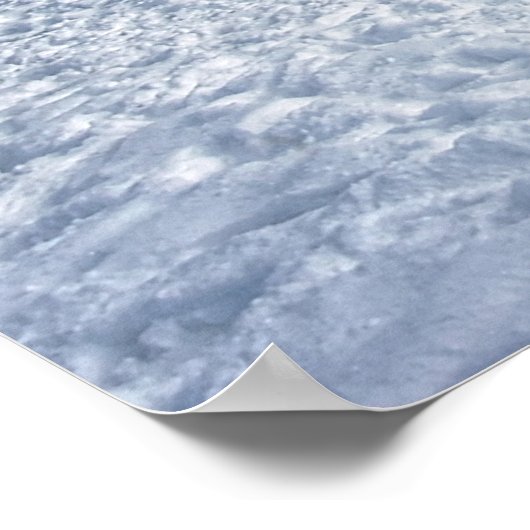 Beauful Winter Snow Forest Scene Poster (Hoek)