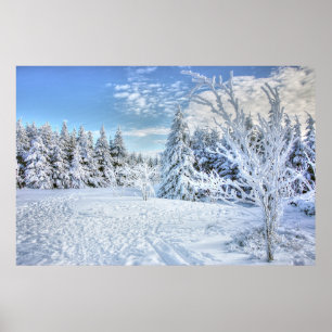 Beauful Winter Snow Forest Scene Poster
