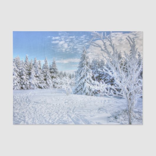 Beauful Winter Snow Forest Scene Tissuepapier (Voorkant)