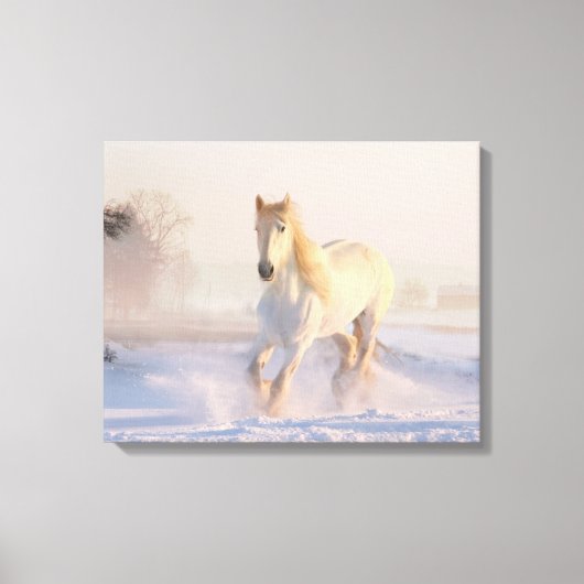 Beauful Winter White Horse Canvas Afdruk (Voorkant)