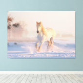 Beauful Winter White Horse Canvas Afdruk (Insitu (Houten vloer))