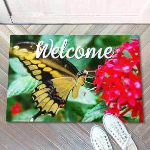 Beauful Yellow Black Butterfly Foto Welkom Deurmat