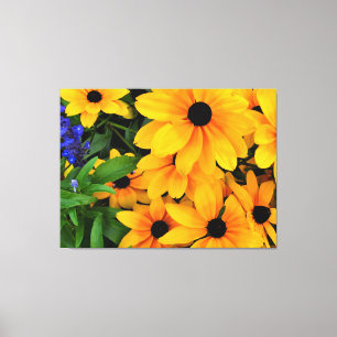Beauful Yellow Daisy Foto Canvas Afdruk