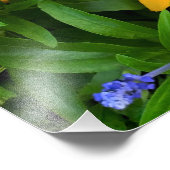 Beauful Yellow Daisy Foto Foto Afdruk (Hoek)