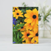 Beauful Yellow Daisy Foto Kaart (Staand voorkant)