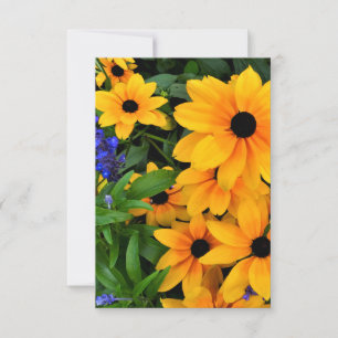 Beauful Yellow Daisy Foto Kaart